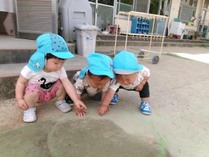 虫をみつけて喜んでいます
