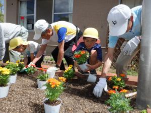 佐保幼　5月草引き3