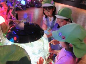 5歳児いきものミュージアムでの様子