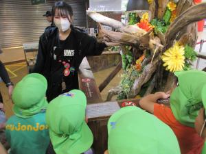 5歳児イグアナについて話を聞く様子