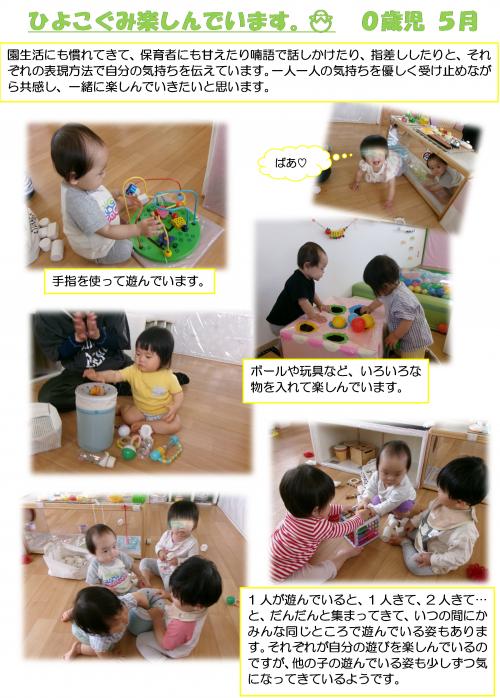 ひよこ組楽しんでいます１