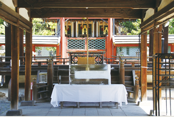 jinnjya