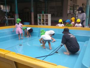 5歳児プール掃除の様子③