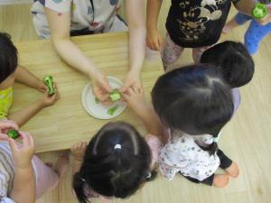 種があるね