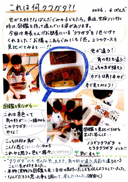 これ