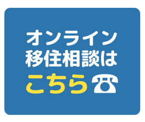 オンライン移住相談