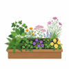 プランター植物