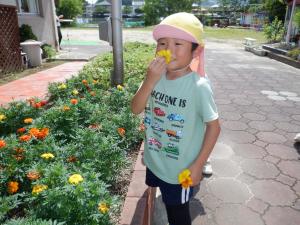 佐保幼　7月花摘み2