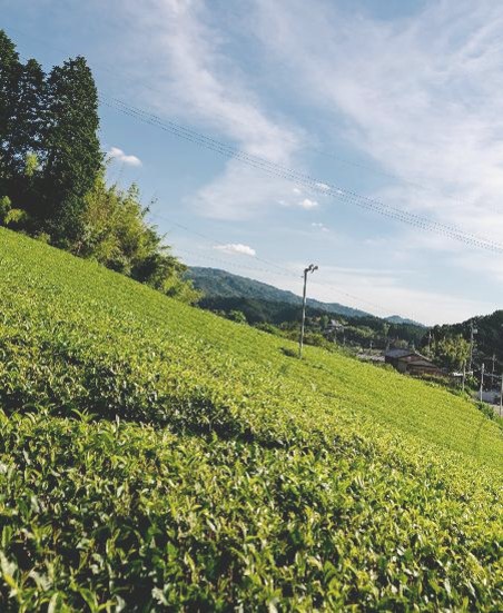 東部地域の風景画像