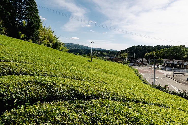 田原地区