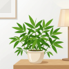 観葉植物