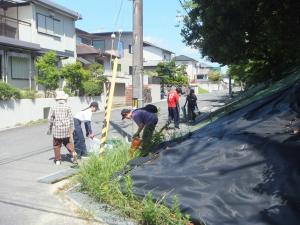 大学生と地域の方