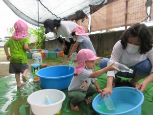 ペットボトルで水遊び