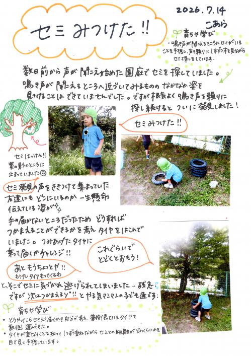 セミみつけた！！