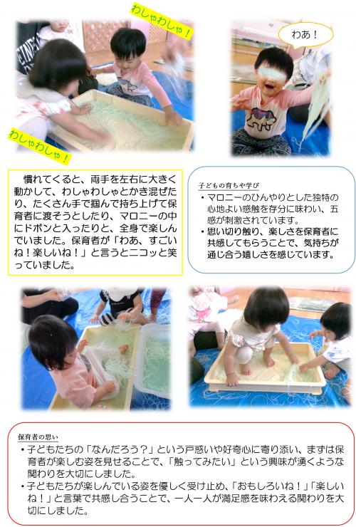 マロニー２