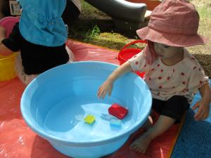 スポンジが浮いている桶で水遊びをしています。