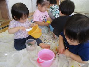 氷を真剣に見て楽しんでいます。