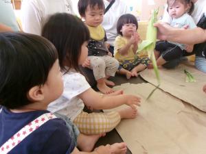 トウモロコシの皮むきをしています。