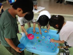 金魚がたくさんいます