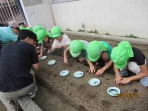菜の花の種を植える子ども