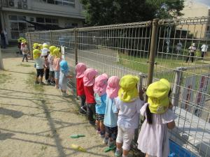 大人数でフェンスからのぞいている