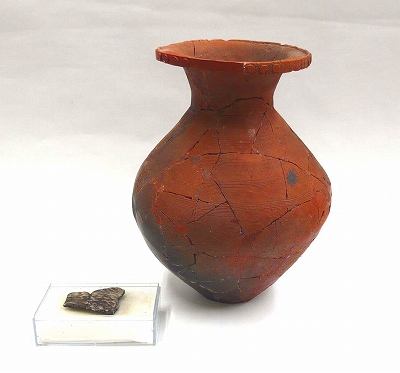 縄文土器と弥生土器