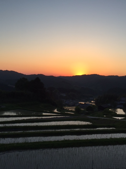竹西農園(遊茶庵)