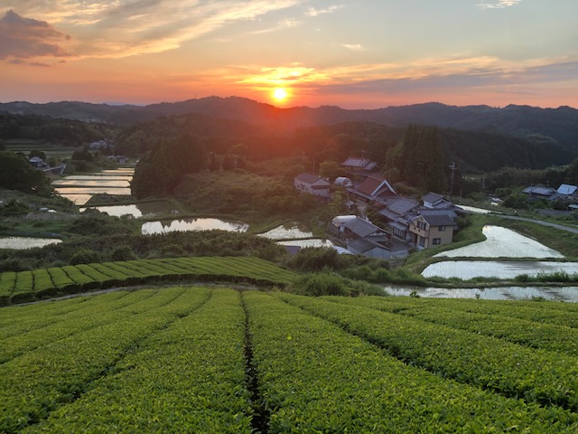 竹西農園(遊茶庵)