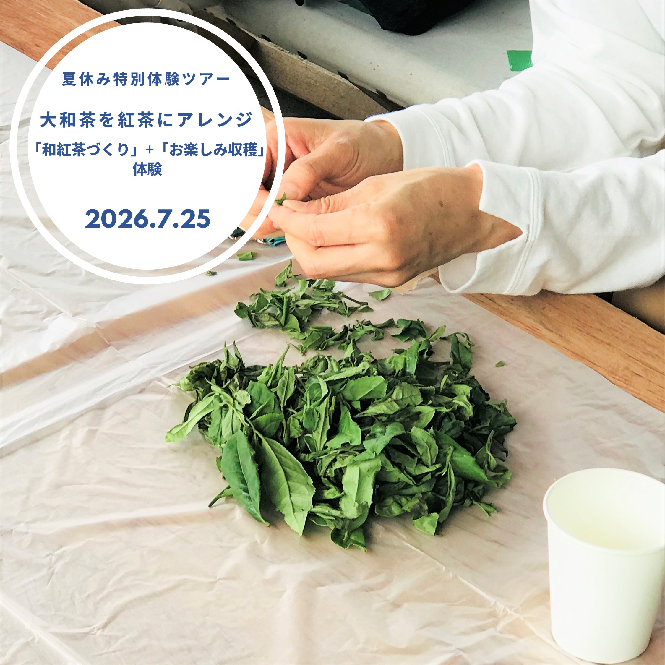 さとやま民泊