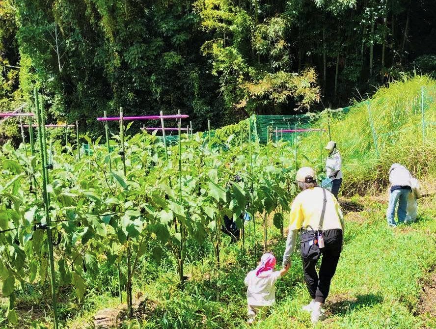 西田農園